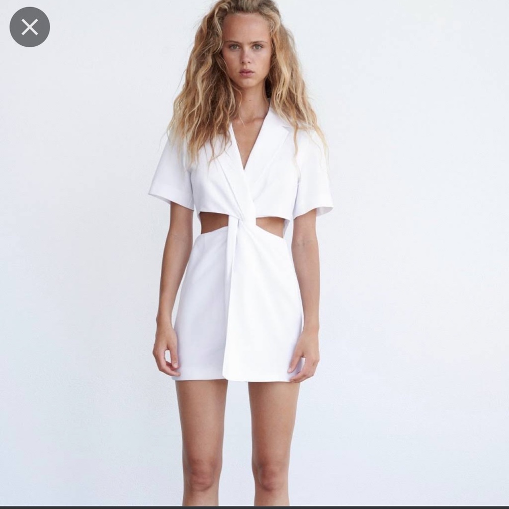 Zara Dress